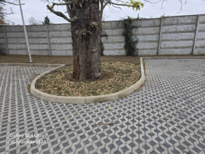 tacy-sami-galeria-20